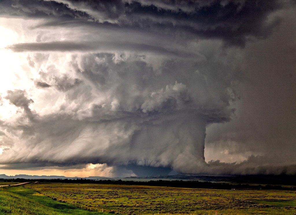 Kyle J Gillett tweet media