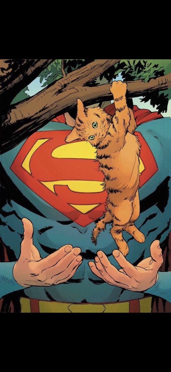 superman core tweet media