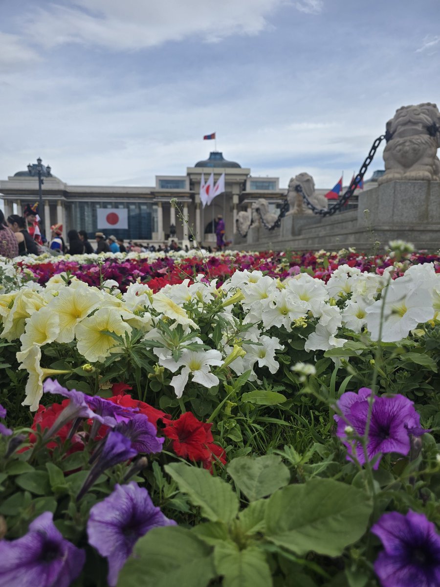 Майдар хотын засаг дарга tweet media