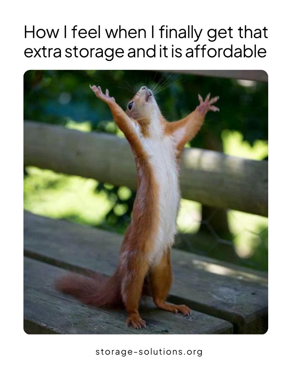 StoringAZ's tweet photo. That triumphant feeling when you finally conquer the clutter and your wallet doesn't cry! 🎉 

We know the joy of finding perfect, budget-friendly extra space. Time for your happy dance!

#StorageGoals #AffordableStorage #Decluttering #HappyDance #SpaceSaver #RelatableMoments https://t.co/tug9tteAn9