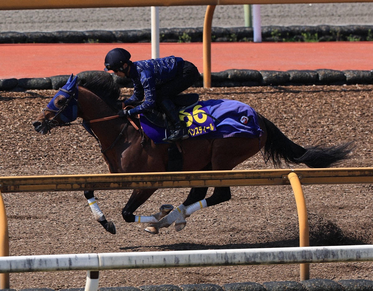 WIN!競馬_総合【公式】 tweet media