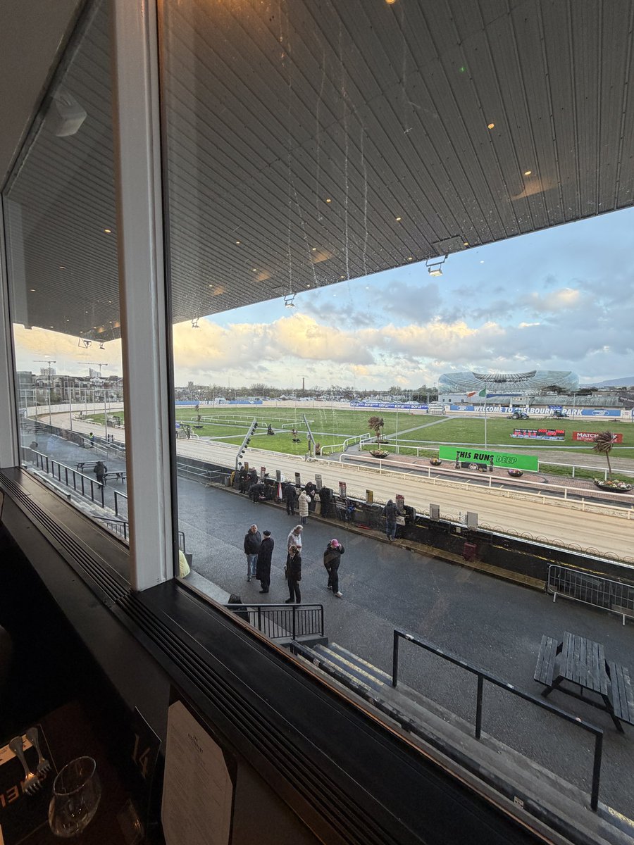 TheGreyhoundZone tweet media