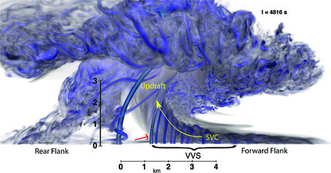 Kyle J Gillett tweet media
