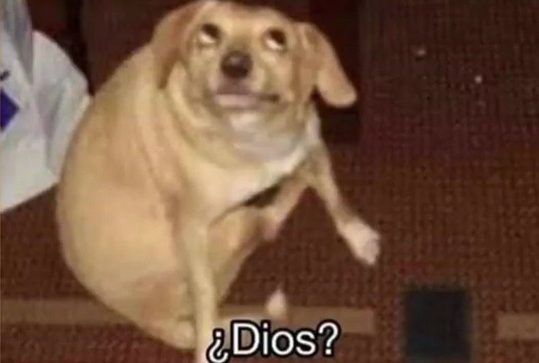 Katscarey tweet media