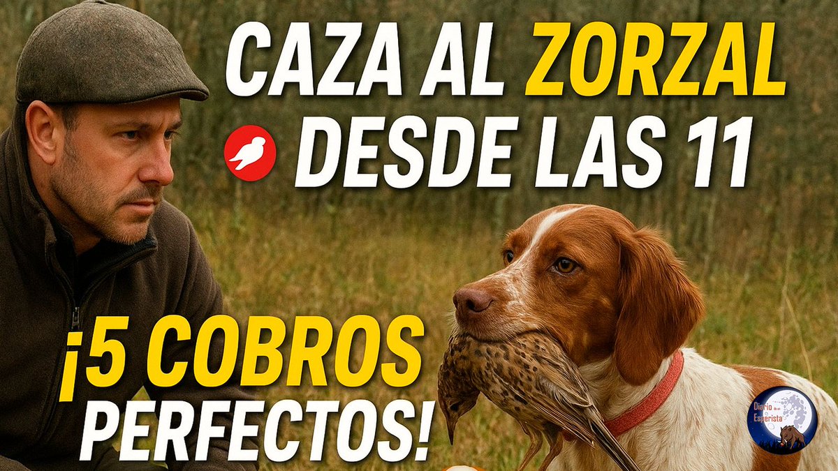 NUEVO VIDEO DE CAZA DE ZORZALES DE <a href="/DiarioEsperista/">DiariodeunEsperista</a> ‼️⤵️

youtu.be/uWG4p5HQ5IM

#diariodeunesperista #cazadoresenyoutube #cazamenor #cazadezorzales