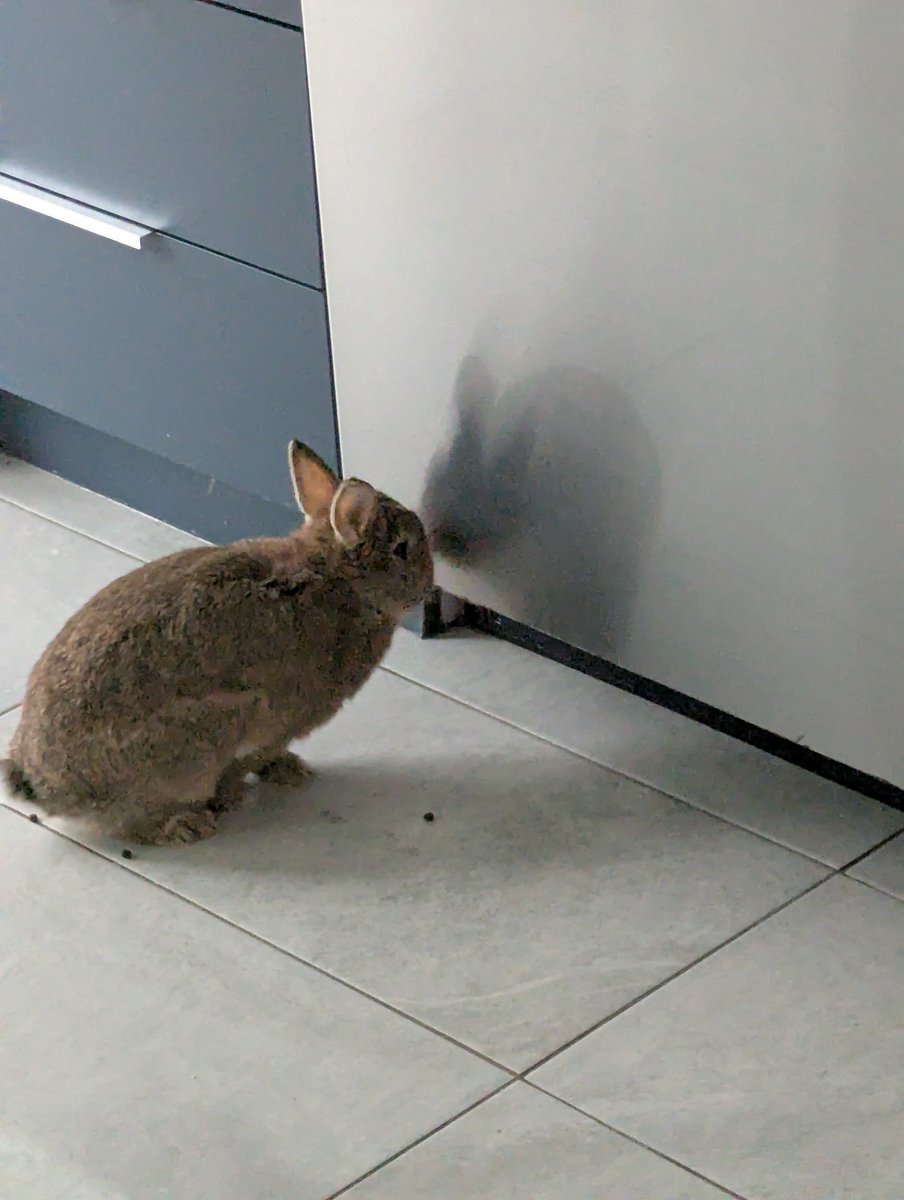 rocky.. 🍁 tweet media