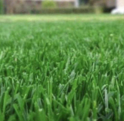 Skenes N’at tweet media