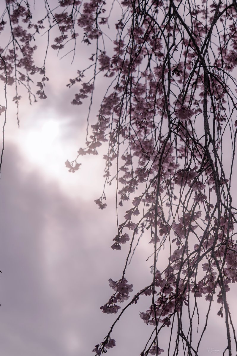 じゅんや⋆⸜︎✈︎⸝⋆ tweet media