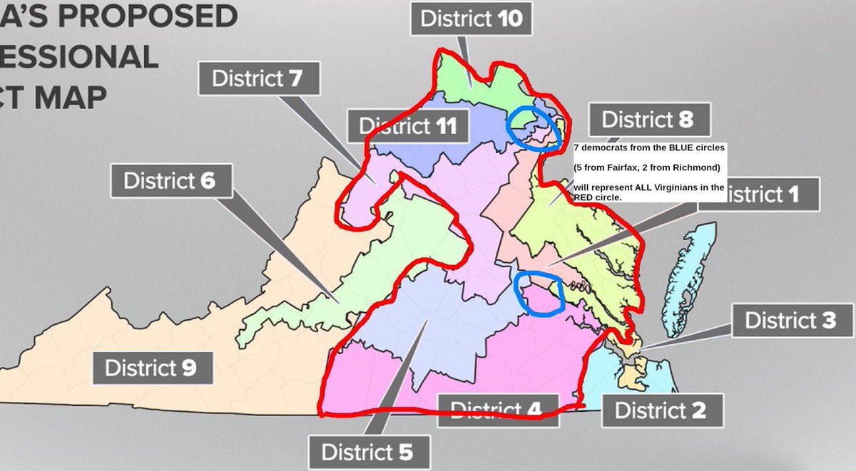 Loudoun County Republican Committee tweet media