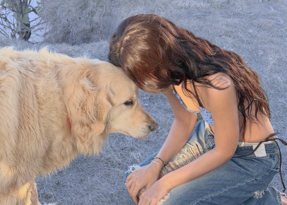 𝖩𝗎𝗇𝖾 ♥︎'𝗌 𝗁𝖾𝗋 𝗐𝗂𝖿𝖾 tweet media