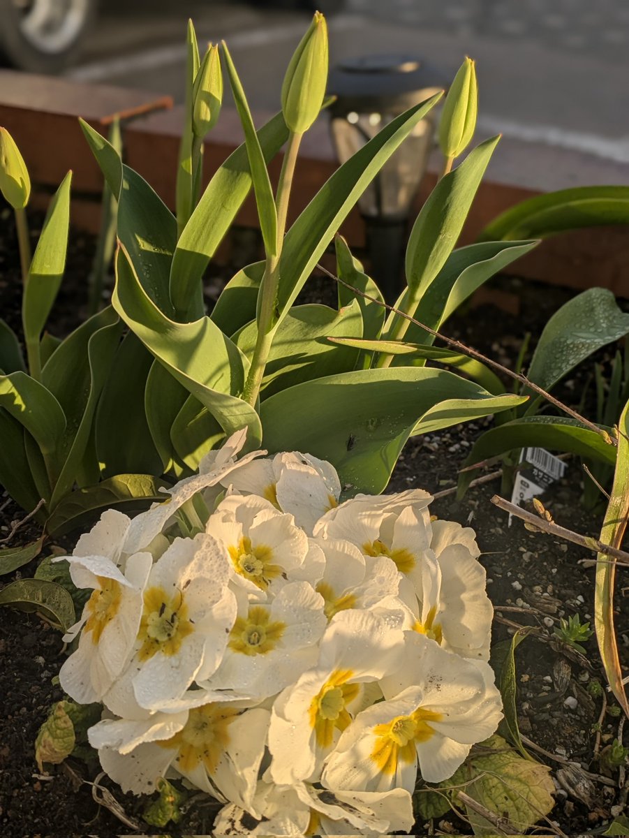 山田泰正 tweet media