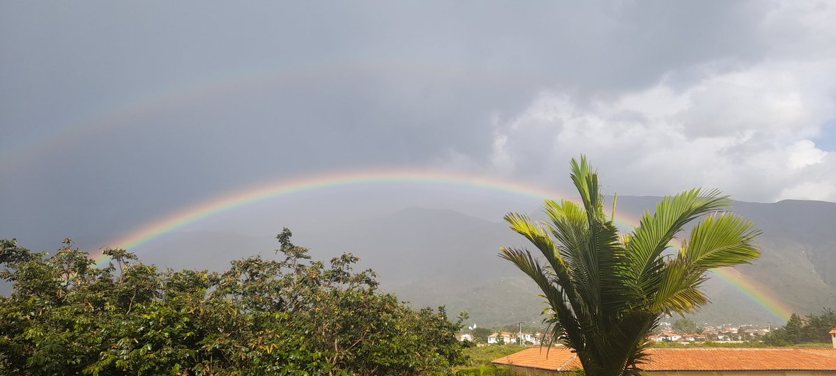 Manuel José Rincón D tweet media
