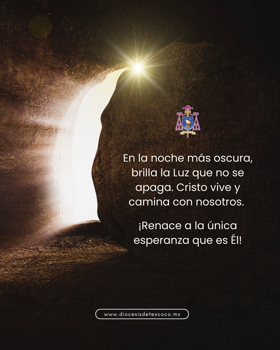 dioctexcoco tweet media