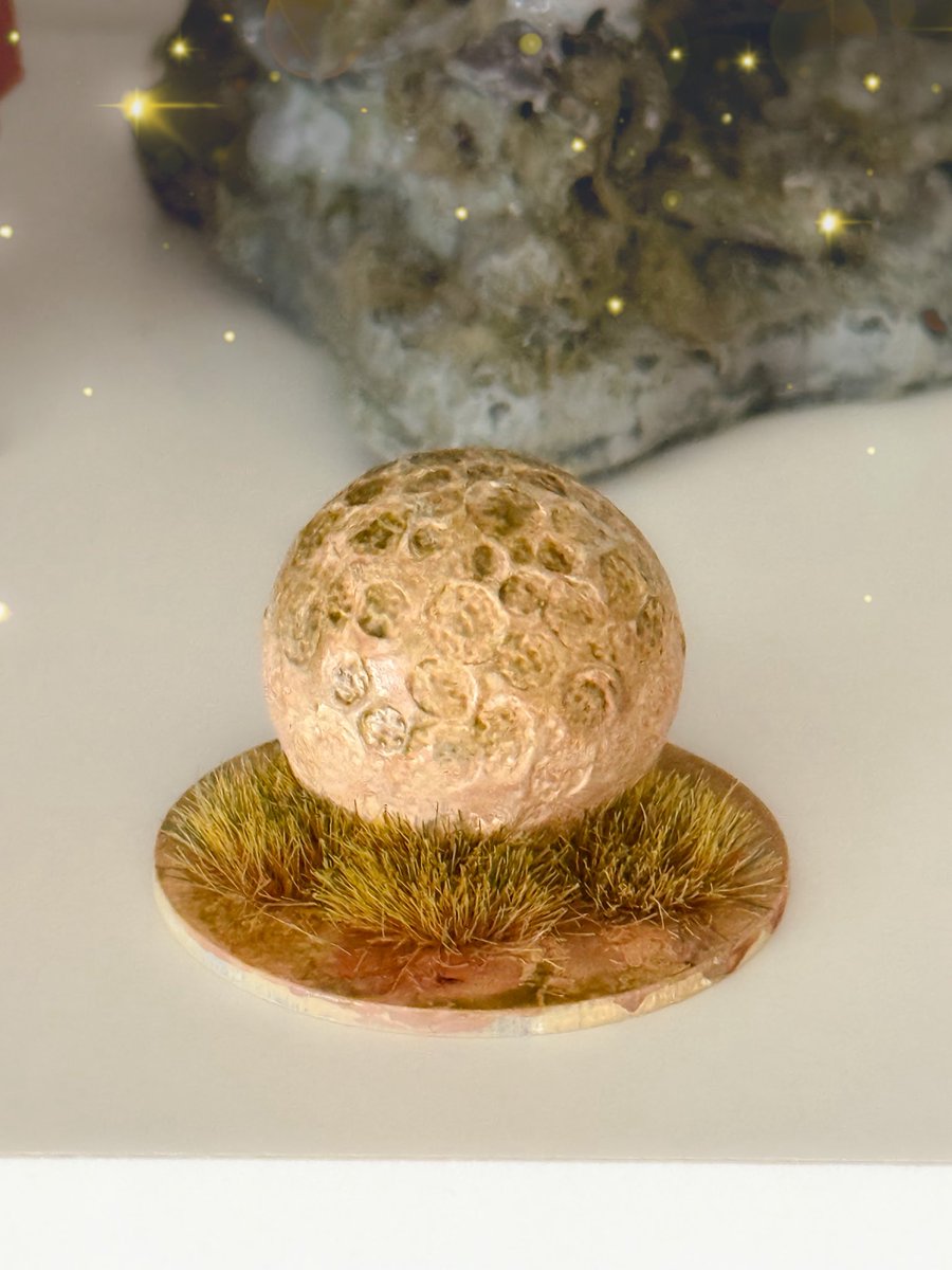 Sabrina Stewart-Wolf🌹ForTheLoveOfKateStewart🌹 tweet media