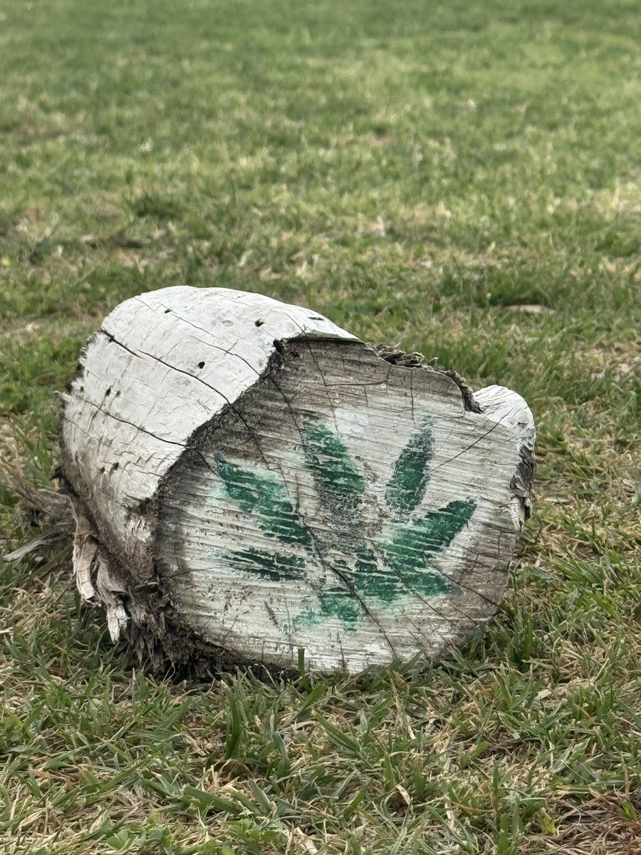 Patrick Koenig tweet media