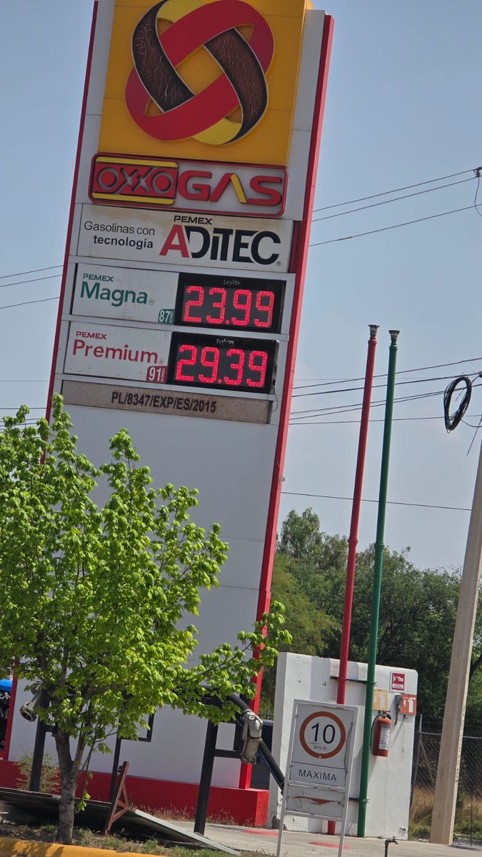 Pablo Garduño   ™ tweet media