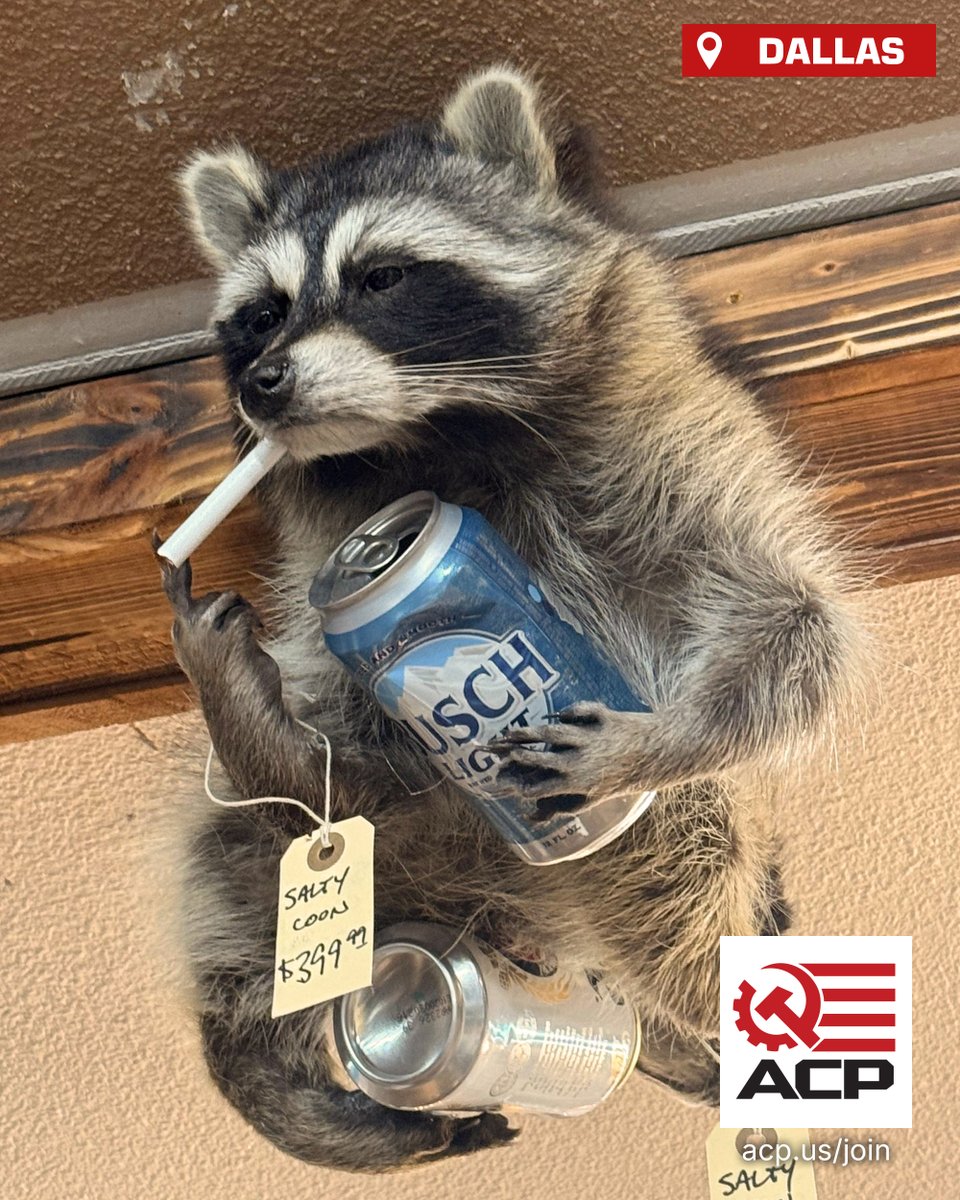 ACP Texas tweet media