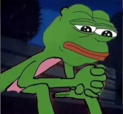 Pepepepe tweet media