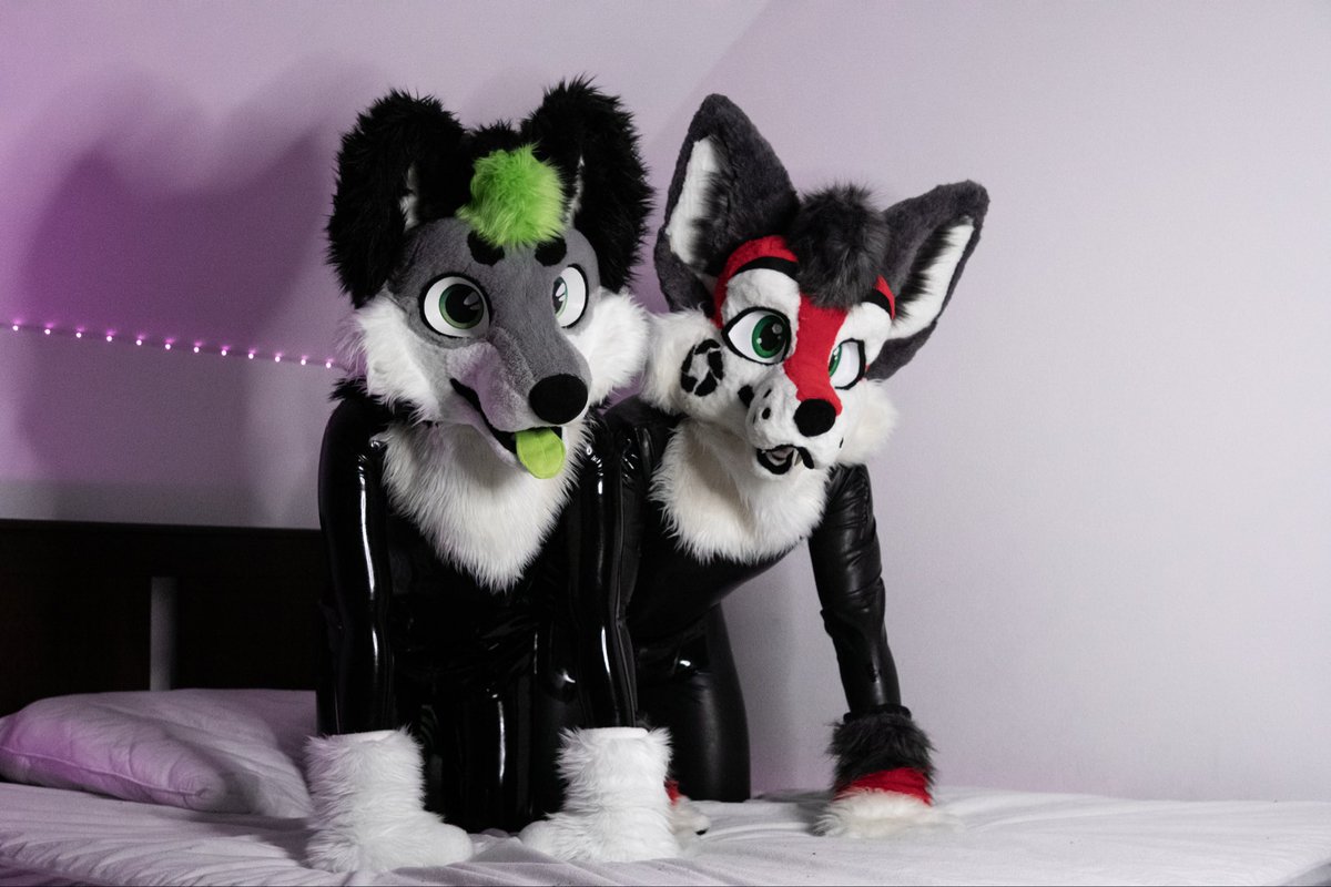 ShinyEmagan's tweet photo. Treats ?

🦊: @ToubyTheFoxxy 
📸: @CockyFolfieAD 

#squeakysaturday https://t.co/mFtGHrM9VM