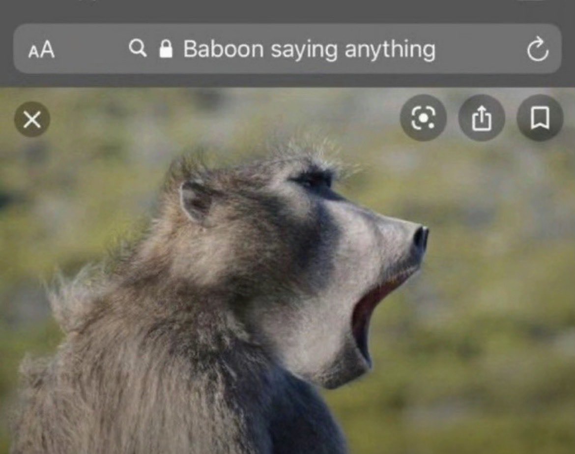 master splinter tweet media