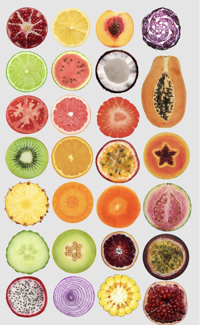 Carnivore Aurelius ©🥩 ☀️🦙 tweet media