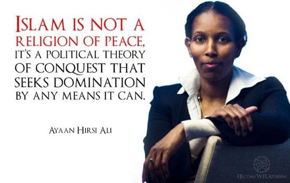 ANDROMEDA- ELB tweet media