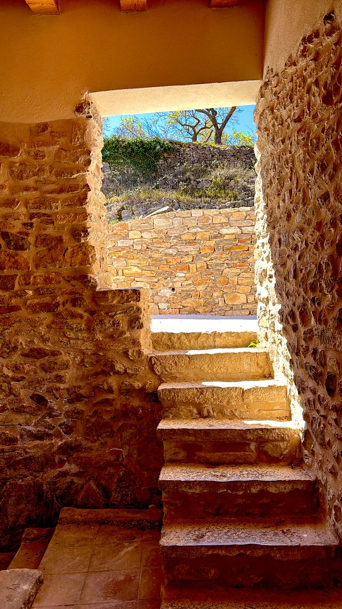 Ivan Romeu tweet media