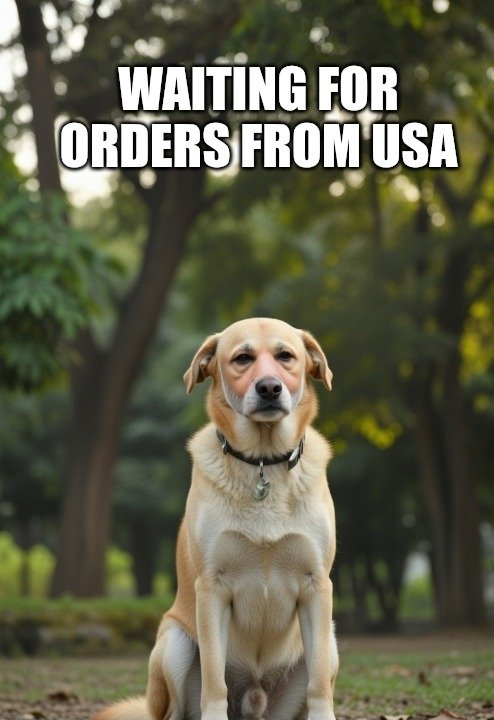 Human Being tweet media