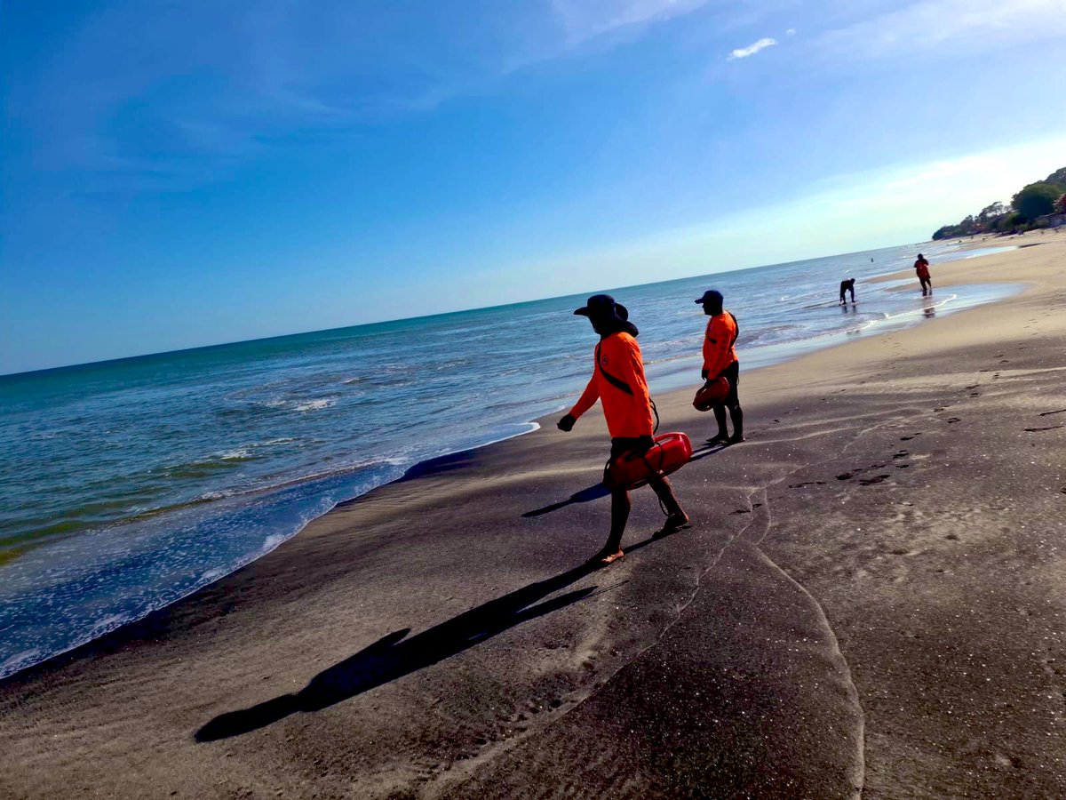 SINAPROC PANAMA tweet media