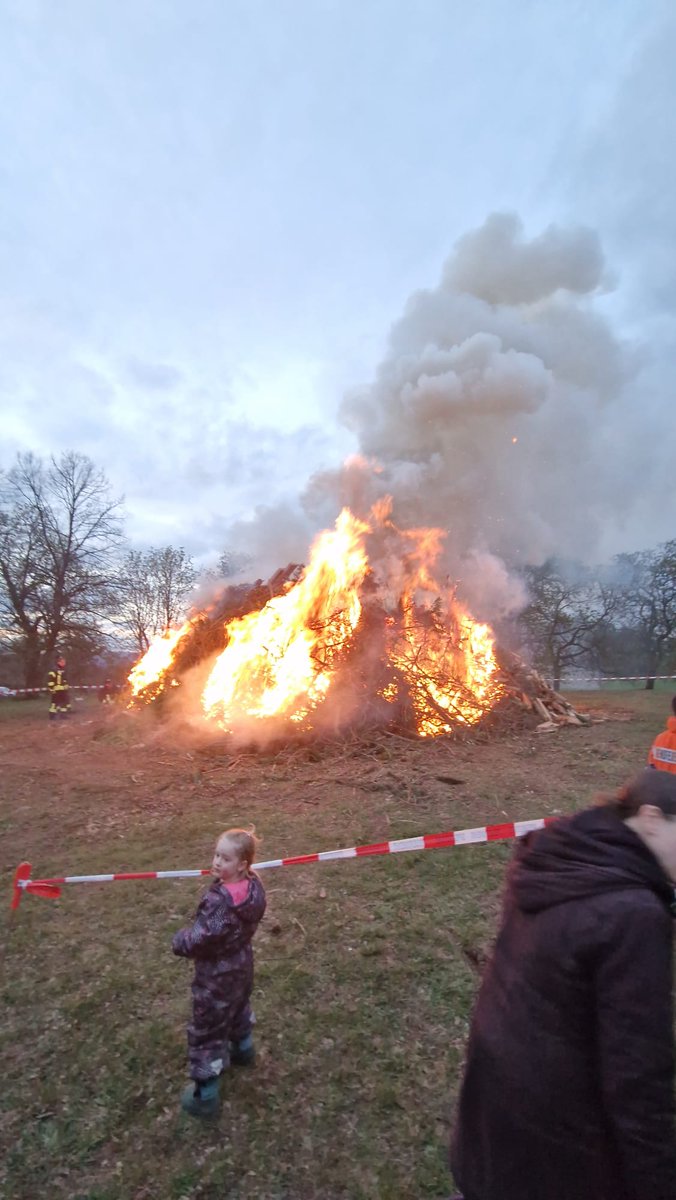 Meister Becker 🇮🇱🇺🇲🥝 tweet media