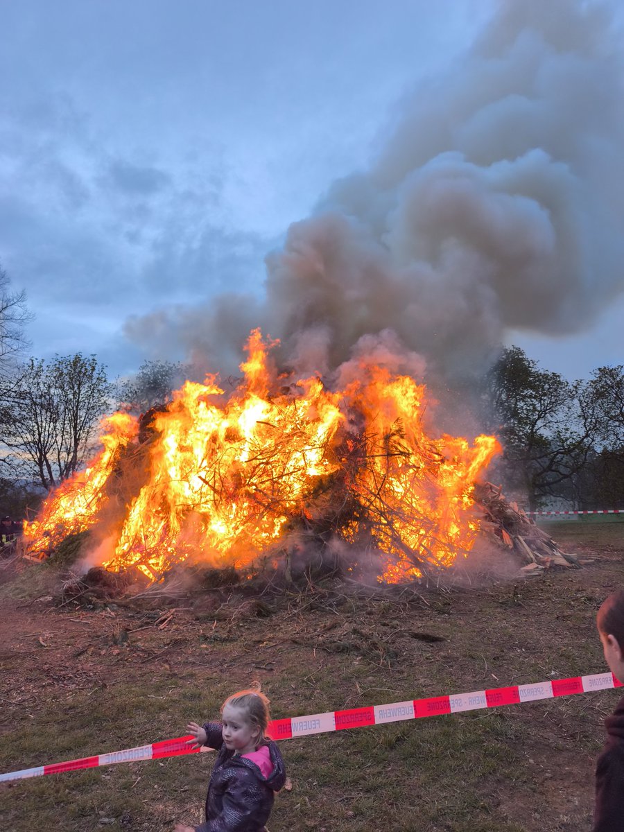 Meister Becker 🇮🇱🇺🇲🥝 tweet media