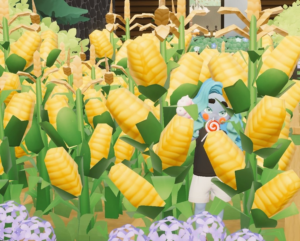 ちゃみこ社長 tweet media