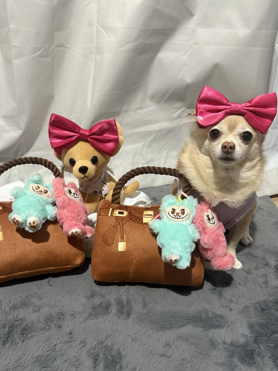 🧚🏻♀️🎀 Tinkerbell 🎀🧚🏻♀️ tweet media