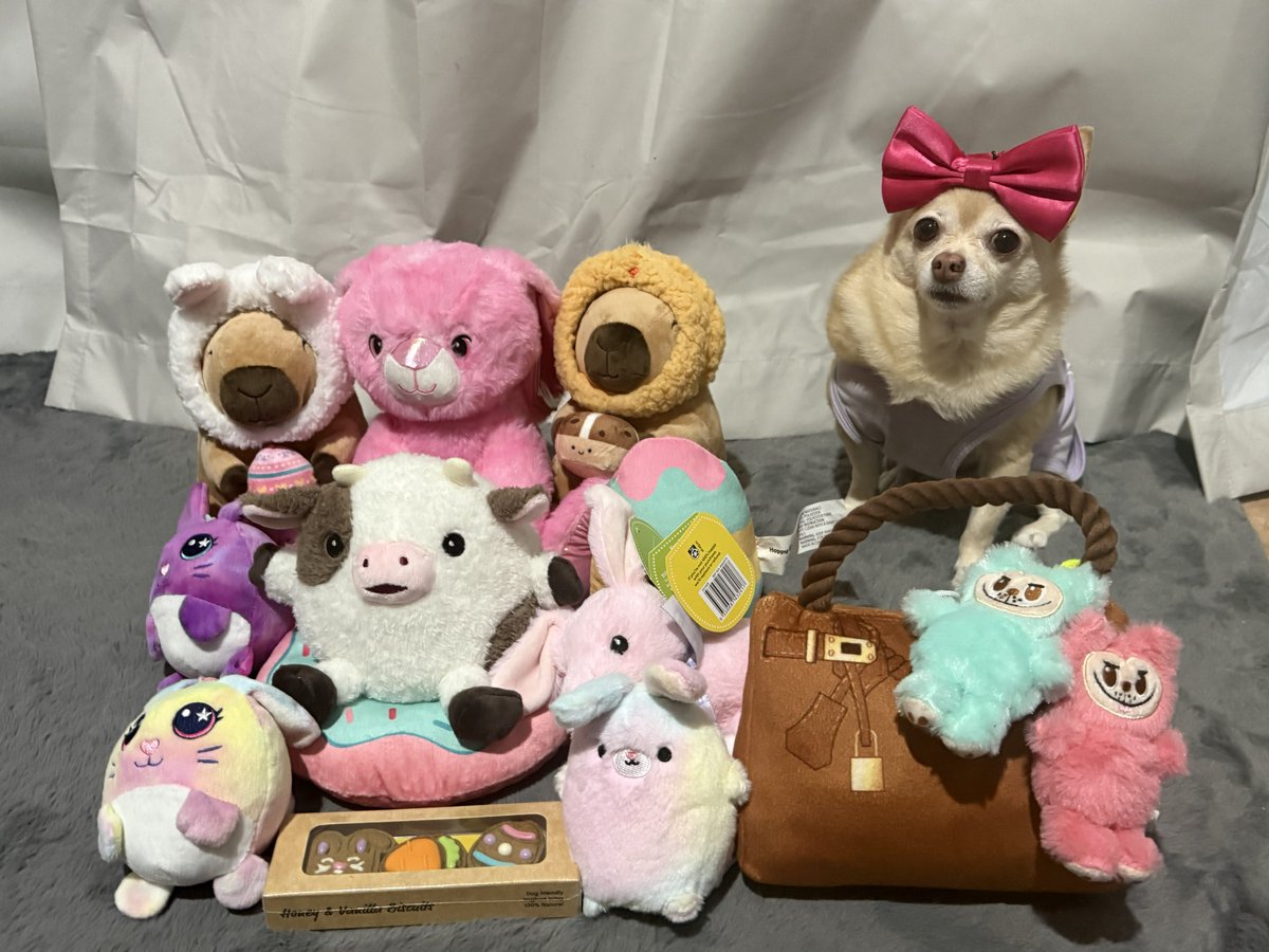 🧚🏻♀️🎀 Tinkerbell 🎀🧚🏻♀️ tweet media