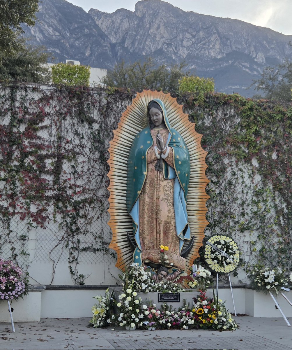 FranoiseDupond6's tweet photo. Un domingo de bendición y gracia para cada uno de ustedes.🙏✝️🛐 https://t.co/yEXlroUWFz