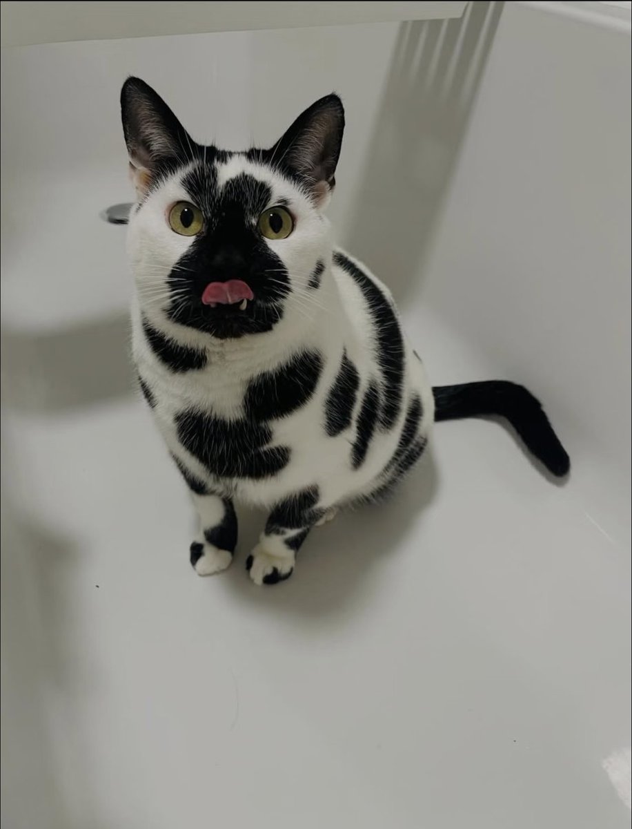 Kathleen tweet media