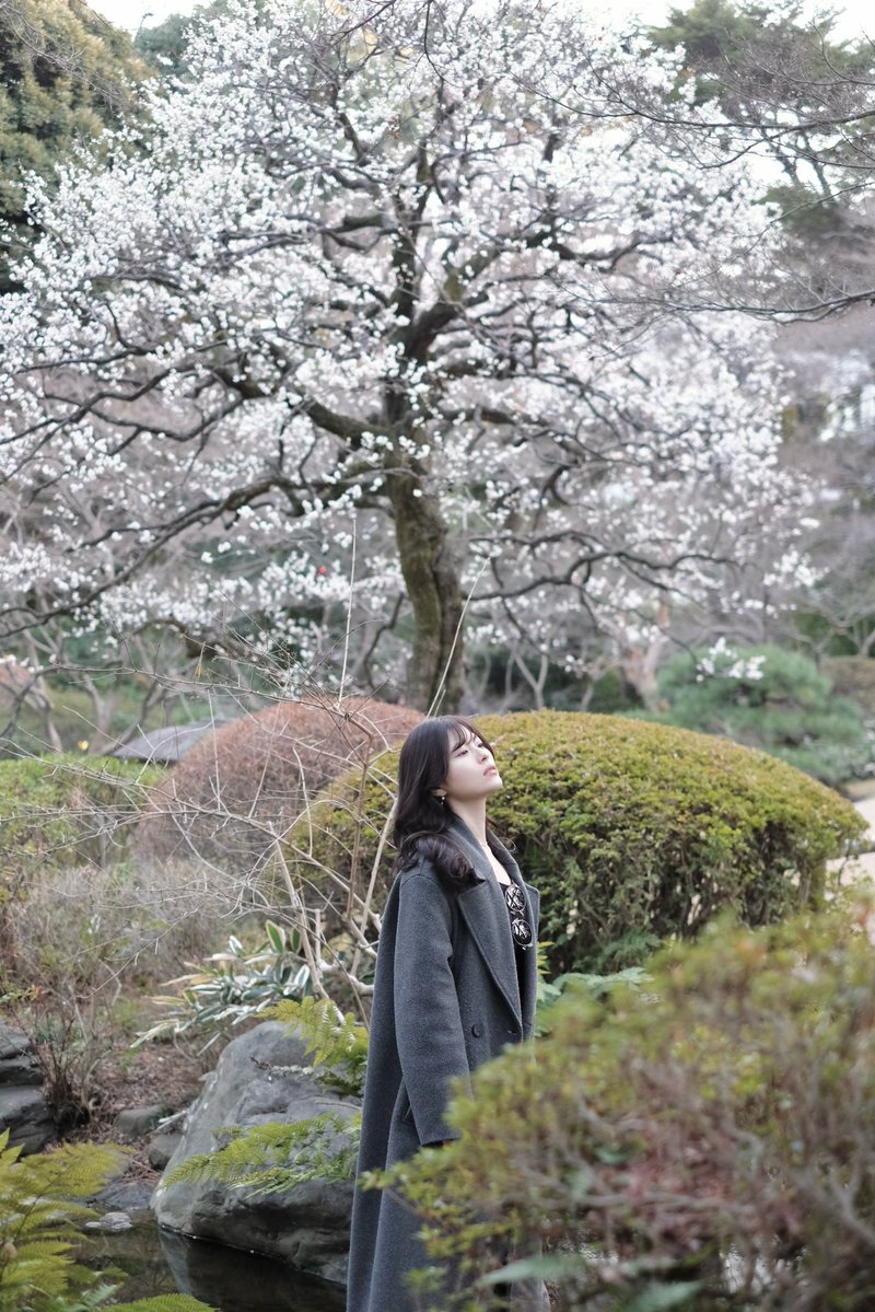 たかむー🍟🦋🫛🌟🖤🌙 tweet media