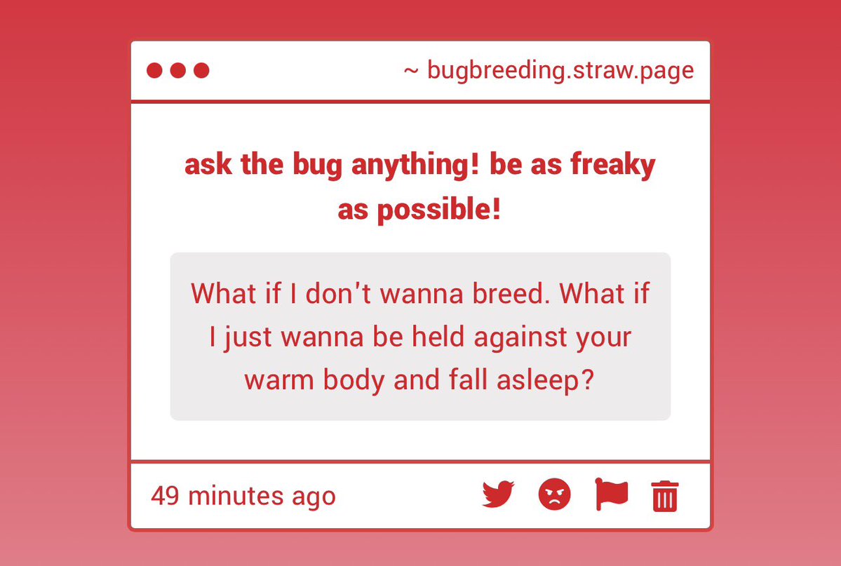 zoey - bug pet tweet media