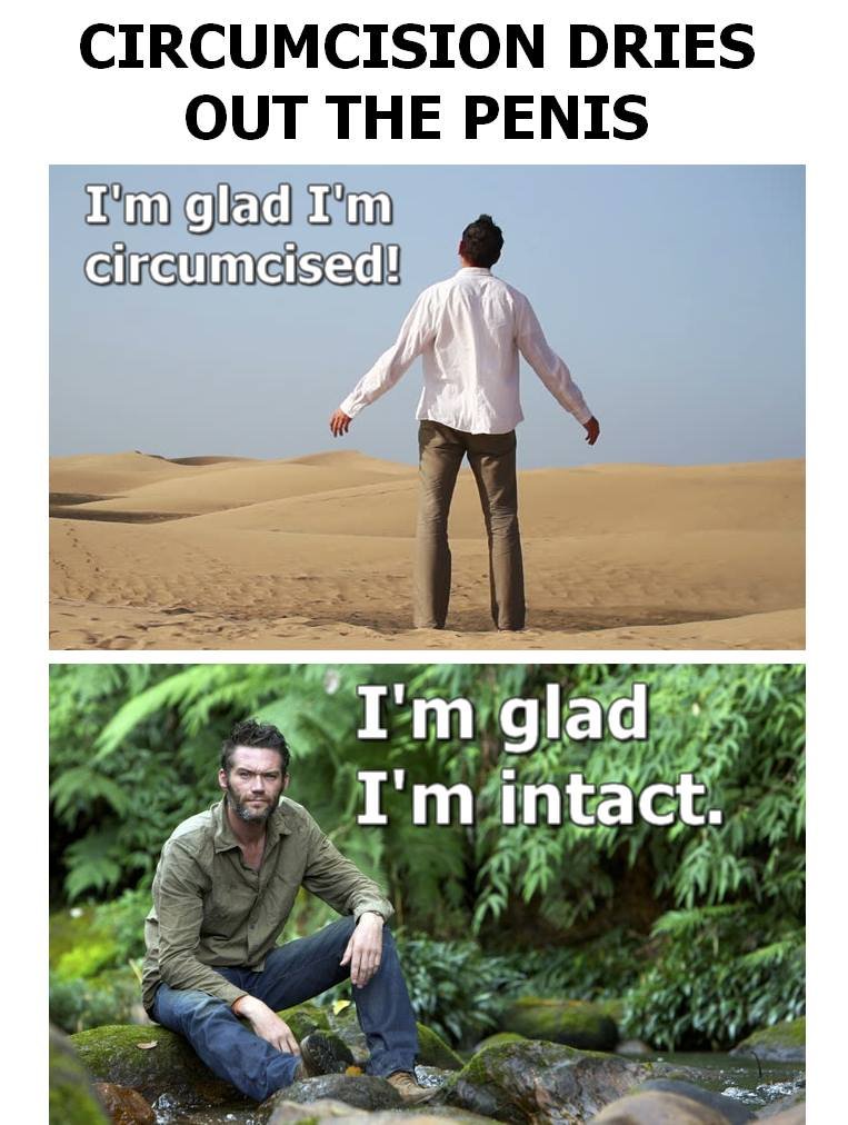 blue sun flower tweet media