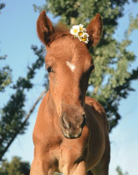 Jack ♦️ 🌳 #002 tweet media