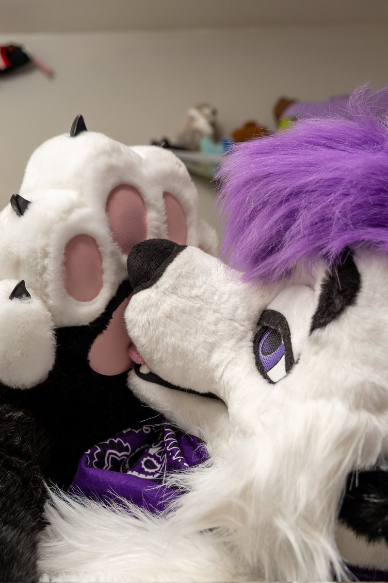 Lavyyyy 🔜 AO tweet media