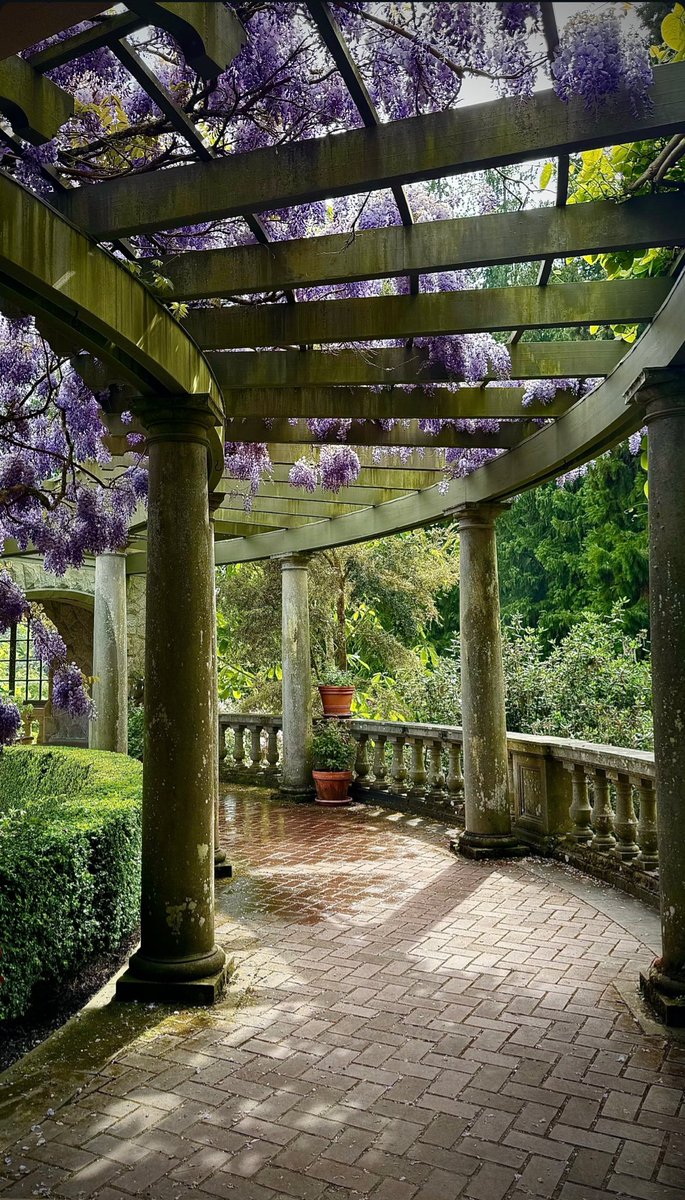 Alice S.Q. tweet media