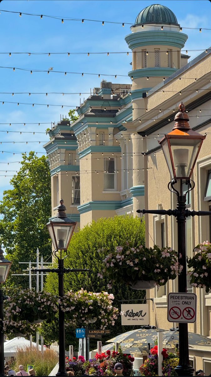 Alice S.Q. tweet media