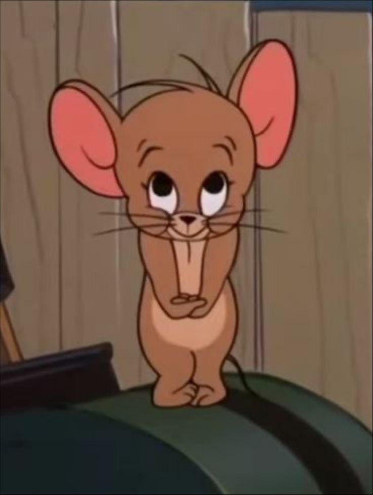 Sheila🩷 tweet media