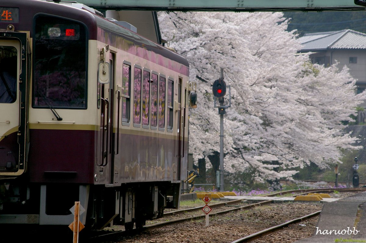 haruobb@Photos tweet media