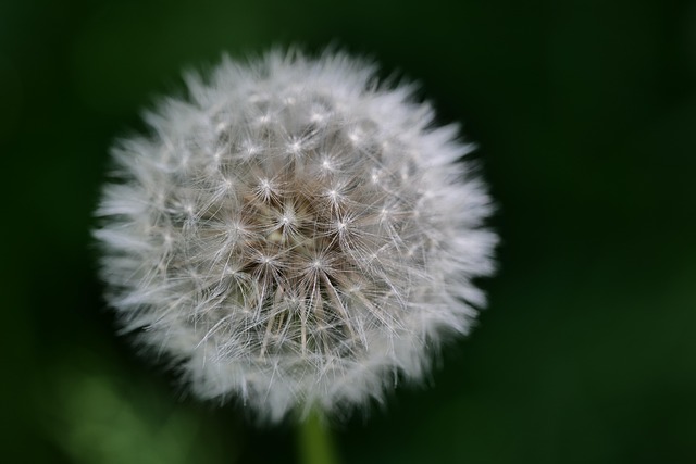 Luke Baker tweet media