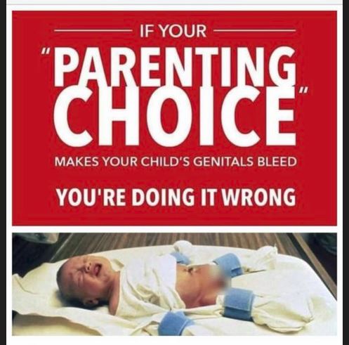 blue sun flower tweet media