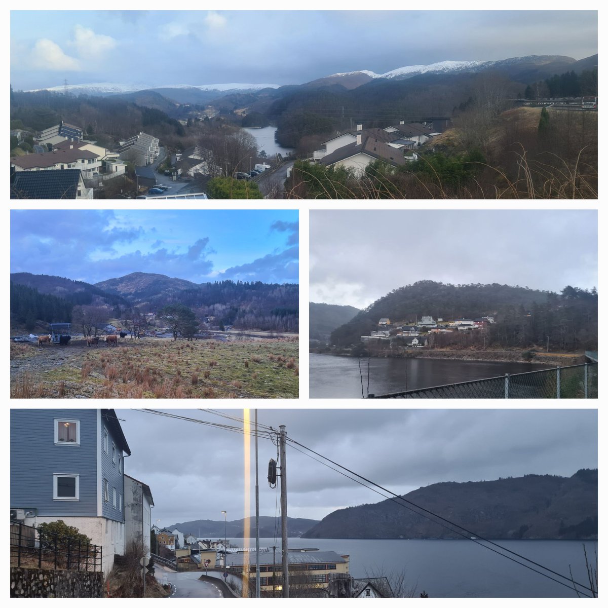 scandiFELLA🇧🇻 tweet media