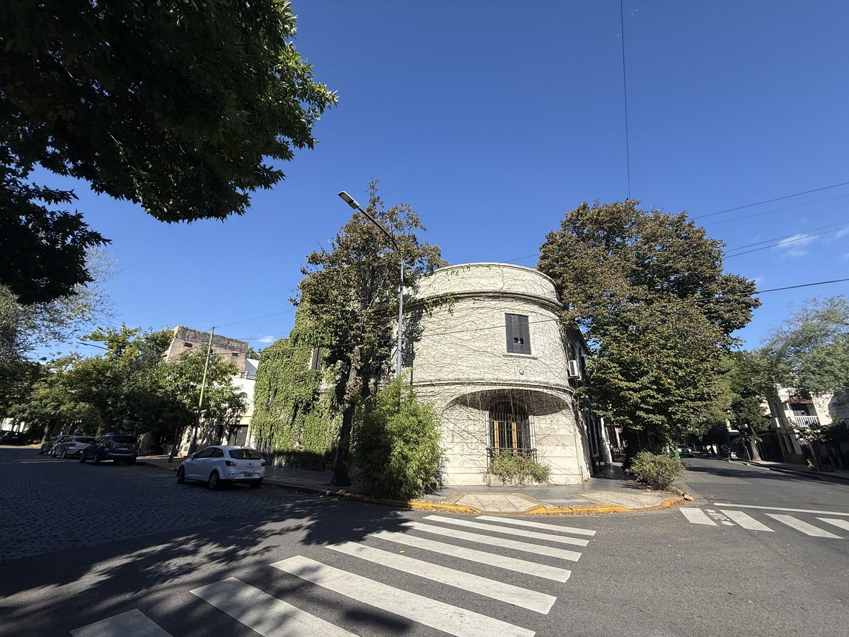 Laura Cittadini tweet media