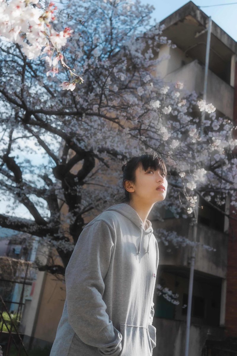 相生トラ/AioiTora tweet media